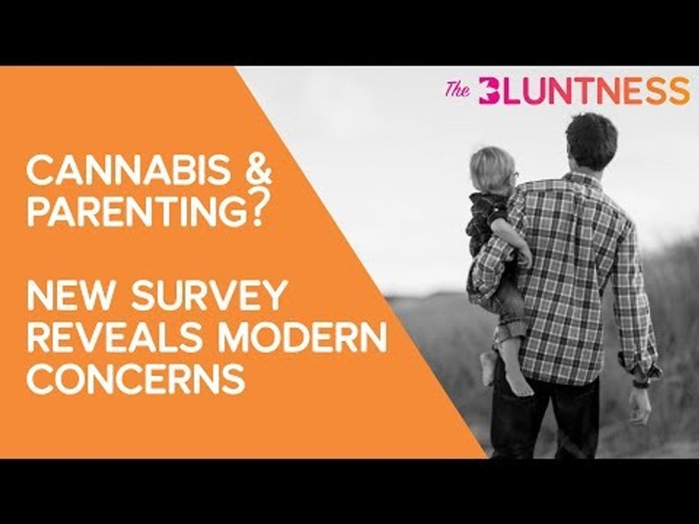 Cannabis & Parenting? New Survey Reveals Modern Concerns | The Edge presented by The Bluntness