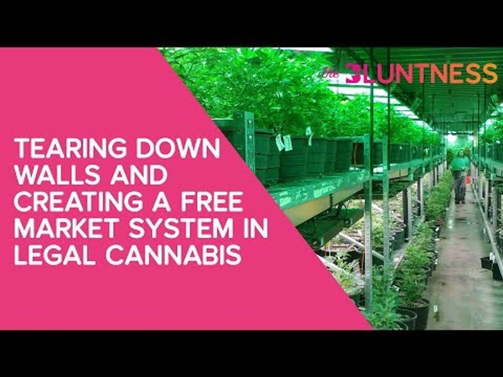 Creating a Free Market System in Legal Cannabis | The Edge presented by The Bluntness