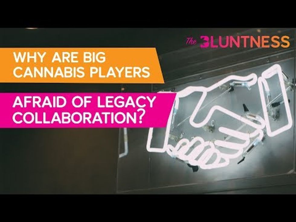 Why Are Big Cannabis Players Afraid of Legacy Collaboration? | The Edge ft Christine & Vlad