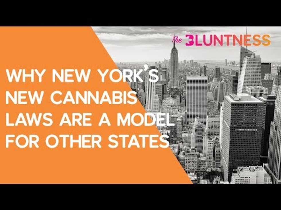 Why New York's New Cannabis Laws Are A Model for Other States | The Edge ft Sen. Liz Krueger