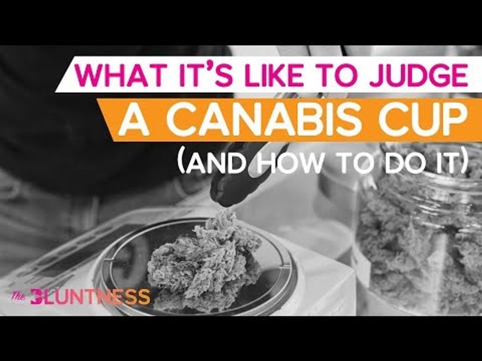 What It's Like to Judge a Cannabis Cup (and how to do it) | The Edge ft Dank Duchess