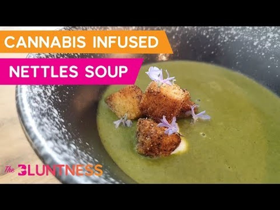 Wild Nettles Canna Soup | Cooking with Cannabis
