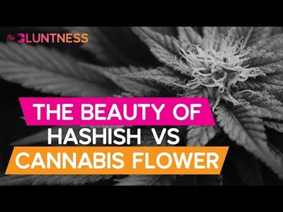 The Beauty of Hashish vs Cannabis Flower | The Edge ft Dank Duchess