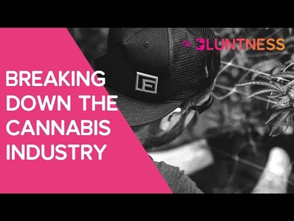 Breaking Down the Cannabis Industry | The Edge ft Brett Puffenbarger
