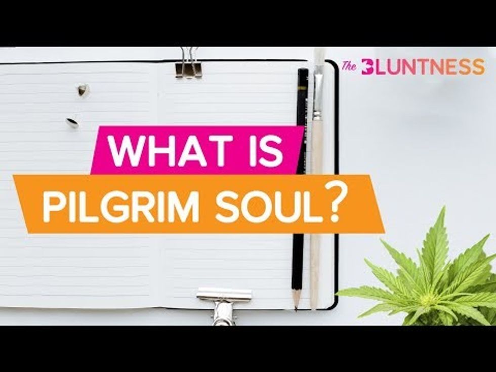 What is Pilgrim Soul? | The Edge ft Shawn Gold of Pilgrim Soul