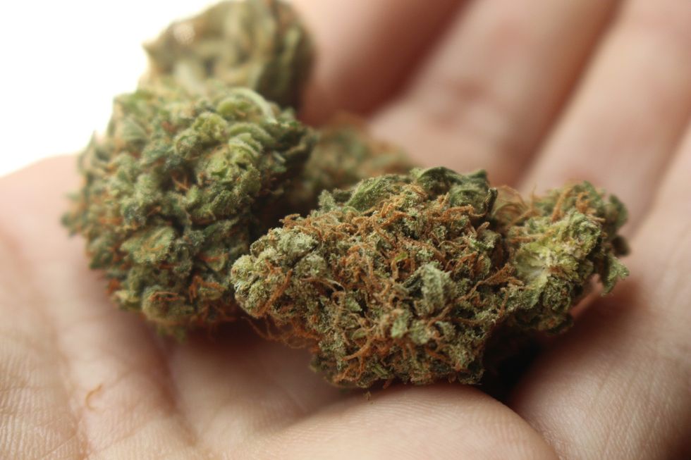 Indica vs. Sativa: Are These Cannabis Labels Outdated? - The Bluntness