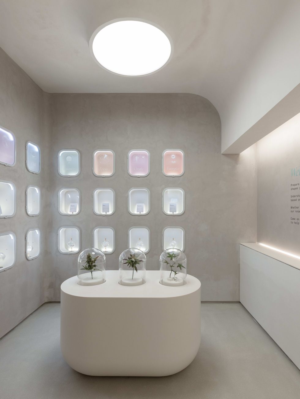 Innovative Dispensary Combines Education, Design, and Social Impact - Union Square Travel Agency (USQTA)