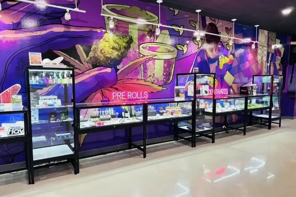 Interior view of legal cannabis products from Jetpacks, Fernway, Stiiizy at Nuna Harvest Dispensary, Mount Vernon, NY - The Bluntness