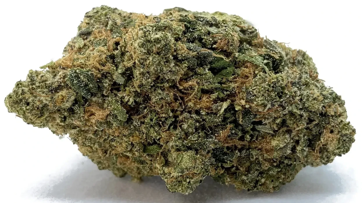 Is Zkittlez Strain Strong? Zkittlez Strain Review - The Bluntness