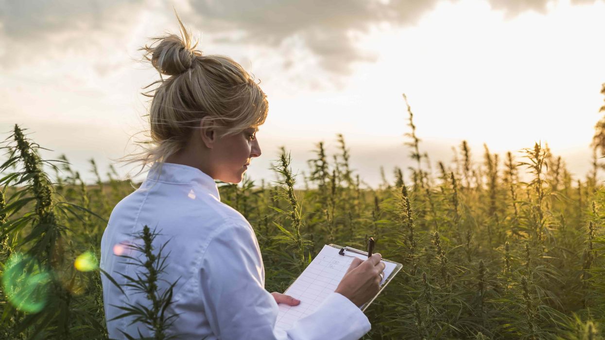 Lots of amazing women are doing extraordinary things in the cannabis industry.