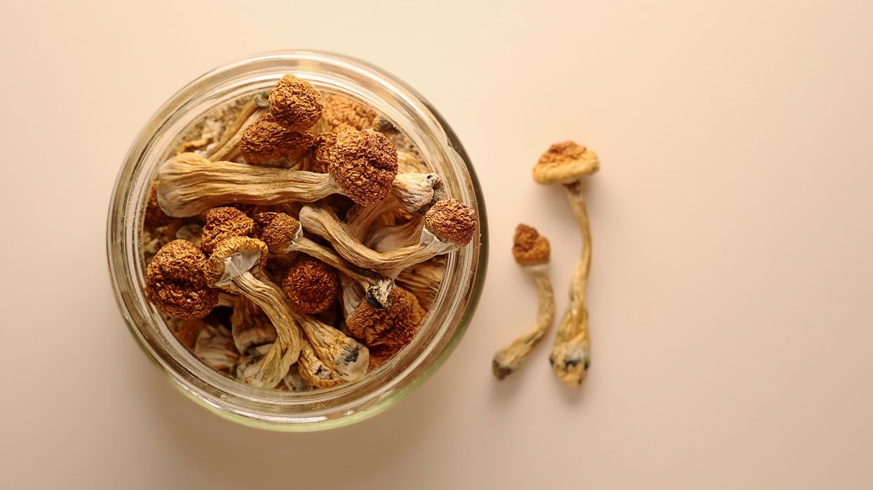 Magic mushrooms taste gross. Let's fix that.