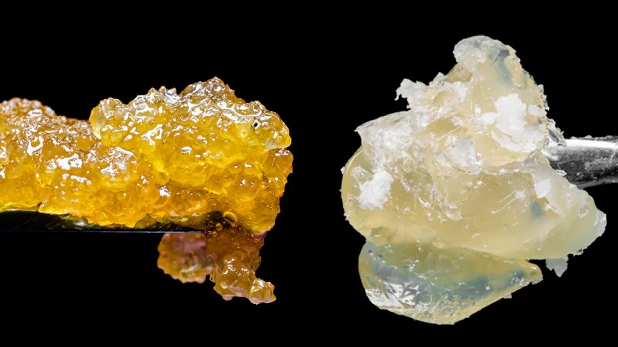 micro images of Rosin and Resin cannabis concentrates