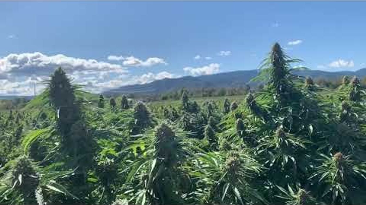New CBD and Hemp Rules Proposed