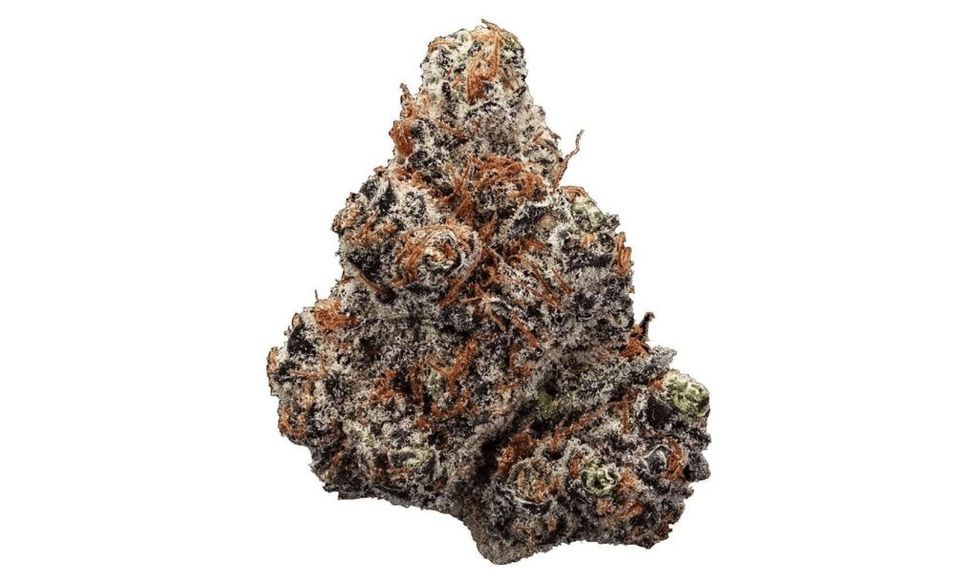 Northern Lights Strain Review - The Bluntness