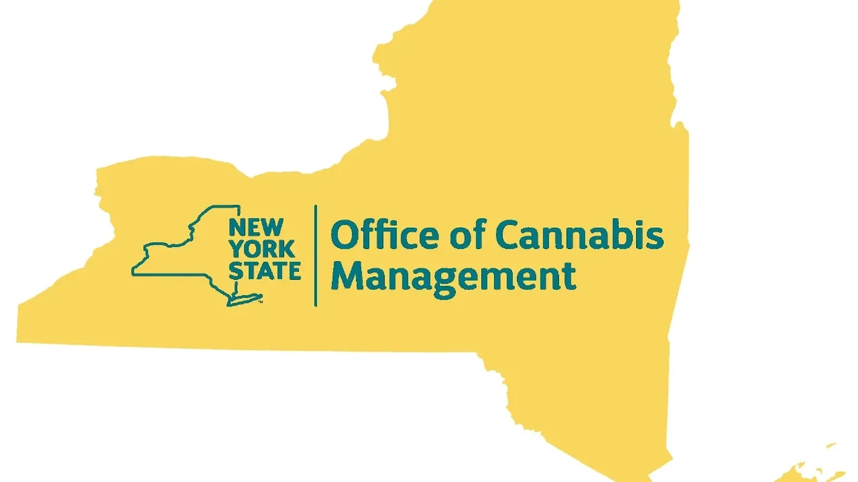 New York State's Cannabis License Revocation Drama Unfolds