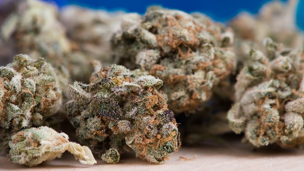 Pain management is one of the top reasons why people use medical cannabis.