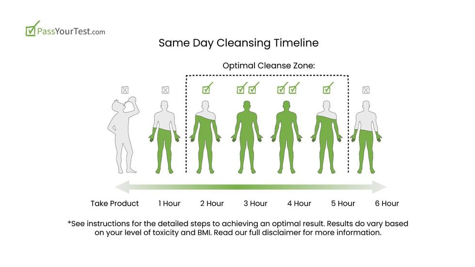 Pass a Drug Test in 24 Hours