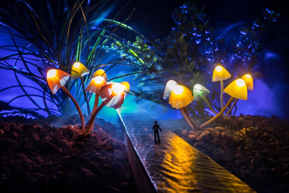 Psilocybin can provide a life-altering experience - The Bluntness