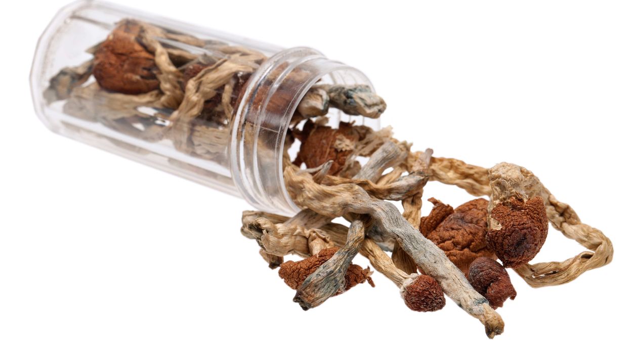 Psilocybin is found naturally in over 200 species of mushrooms.