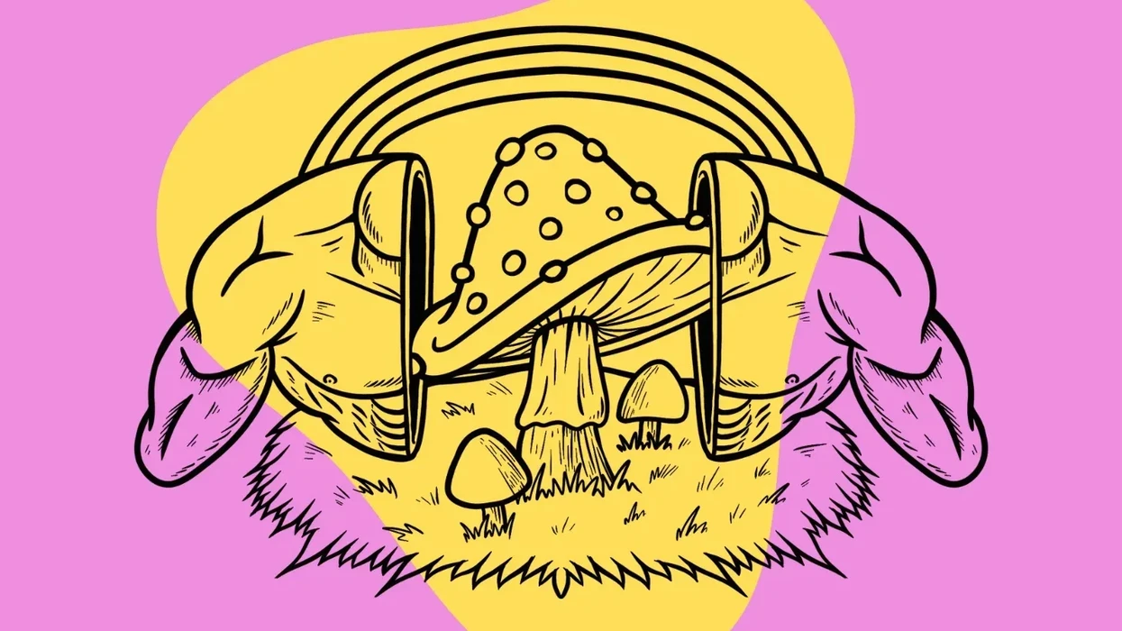 Ranking Magic Mushrooms by Potency