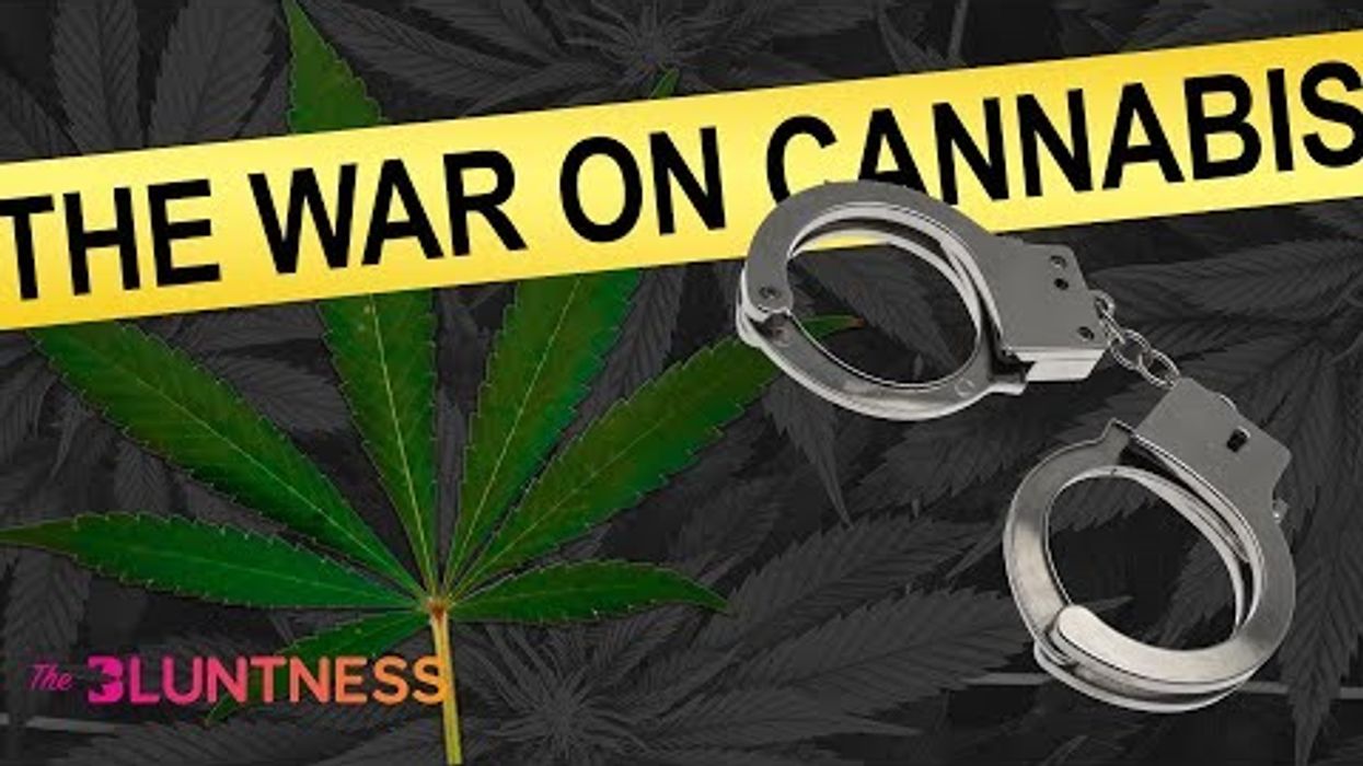 Righting the Wrongs of Cannabis War Crimes | The Edge presented by The Bluntness