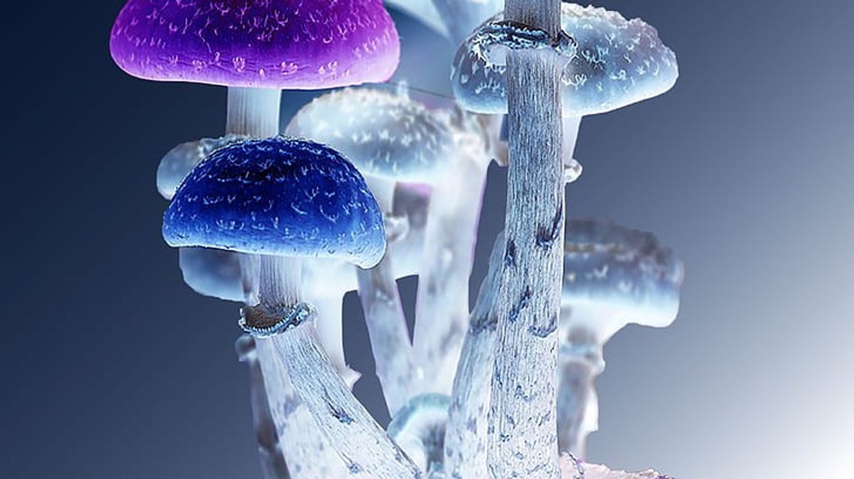 Psychedelics and Alzheimer's: A New Frontier in Treatment Options