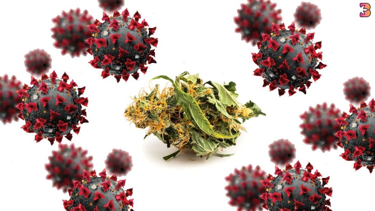 Studies are currently underway in Israel.