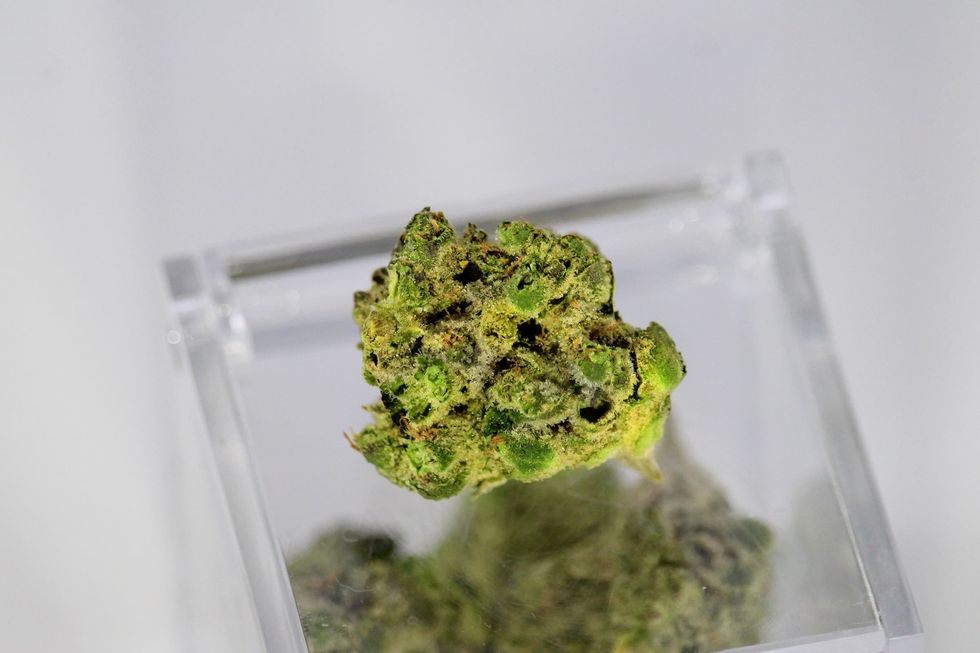 Terpenes are changing the way people think about - and choose - cannabis.