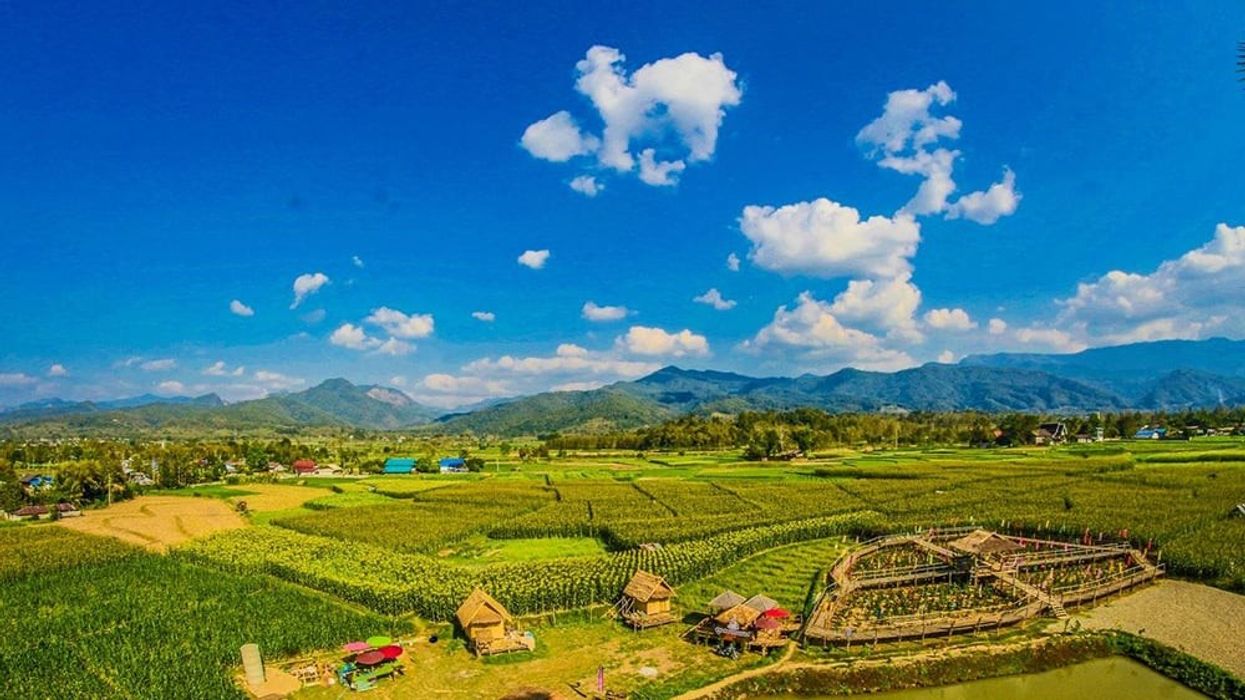 Thailand's hemp effort has some great things going for it.