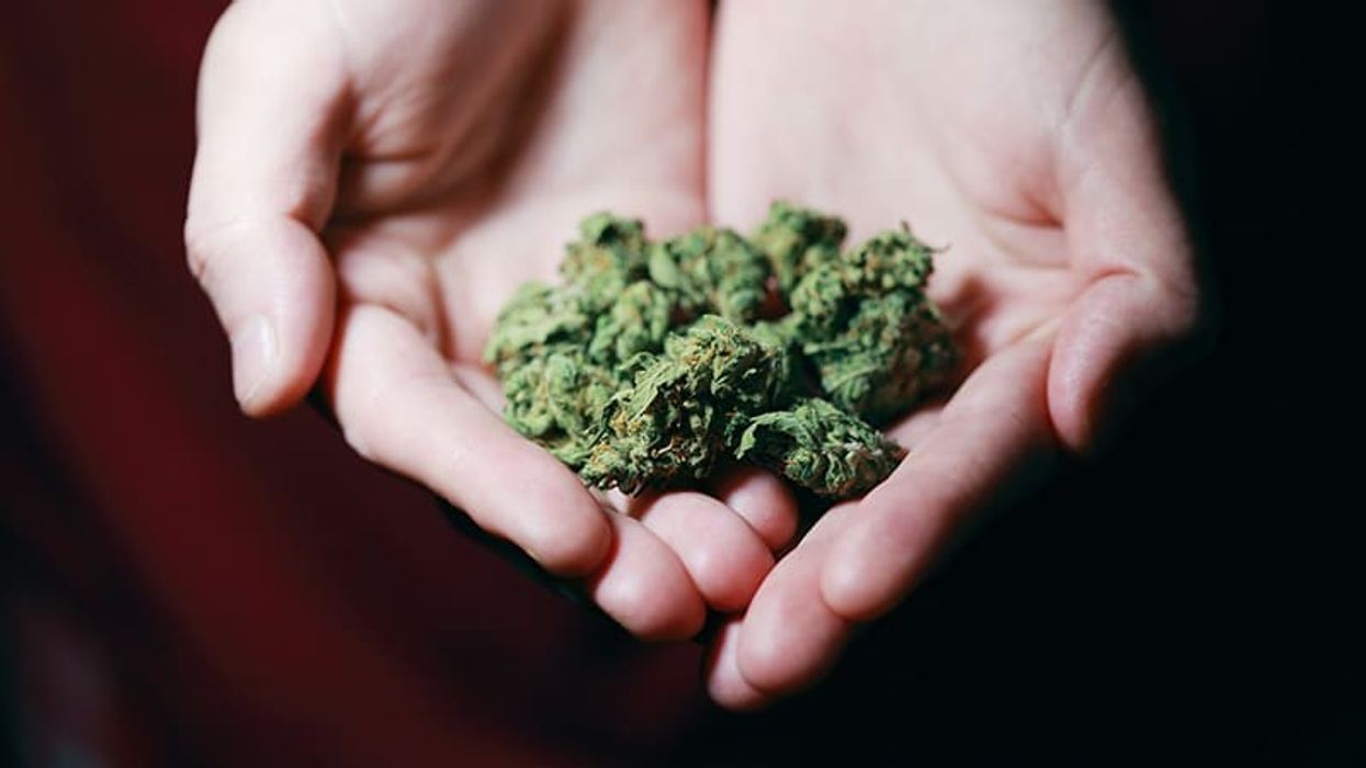 THCV's benefits are compelling, however people have a hard time finding high-THCV cannabis cultivars.