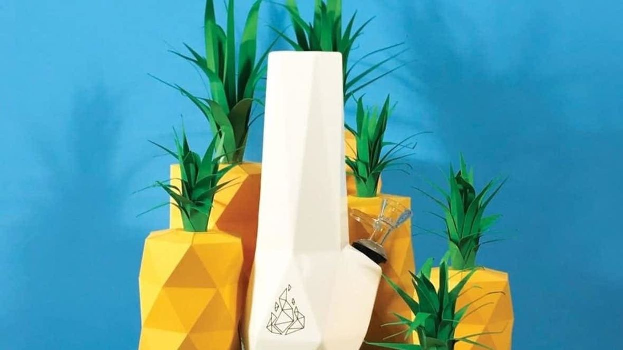 The Bluntness Takes a Look at the Best Bongs