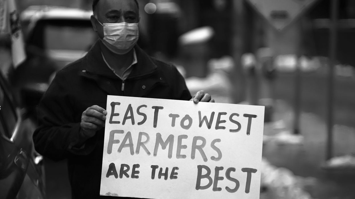 The Cannabis Farmers Alliance is Striving for Social Equity in New York's Cannabis Industry: A Call for Action