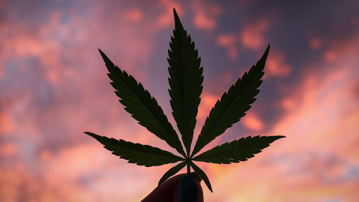 The cannabis industry is evolving fast. Here's where we're at right now.