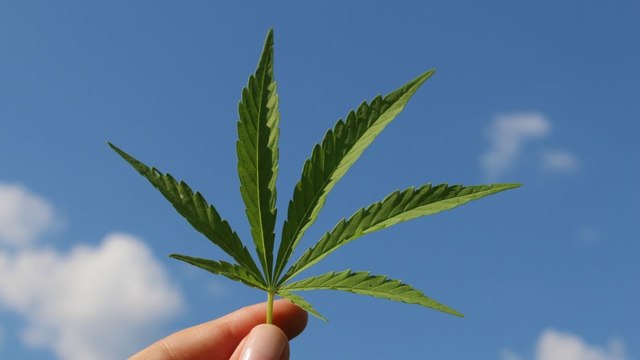 The cannabis revolution has arrived.