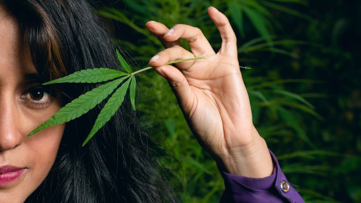 The Hispanic and Latino communities do not get enough recognition for their groundbreaking achievements in cannabis.