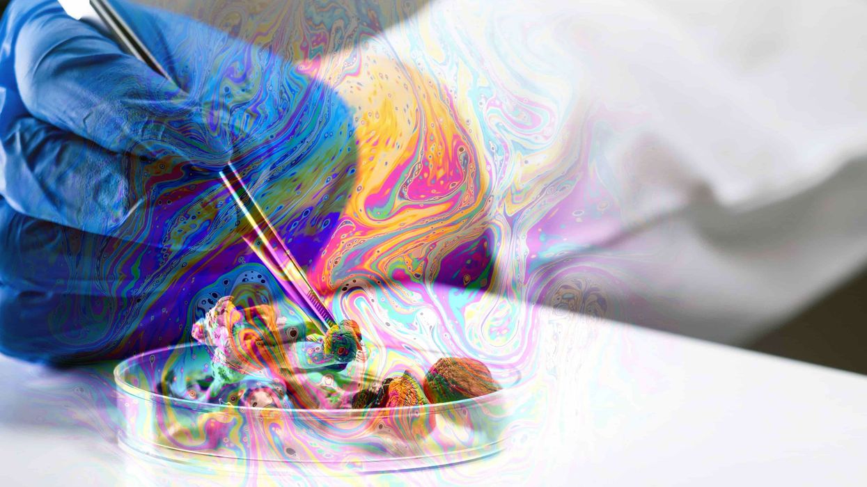 The new wave of psychedelic research is here.