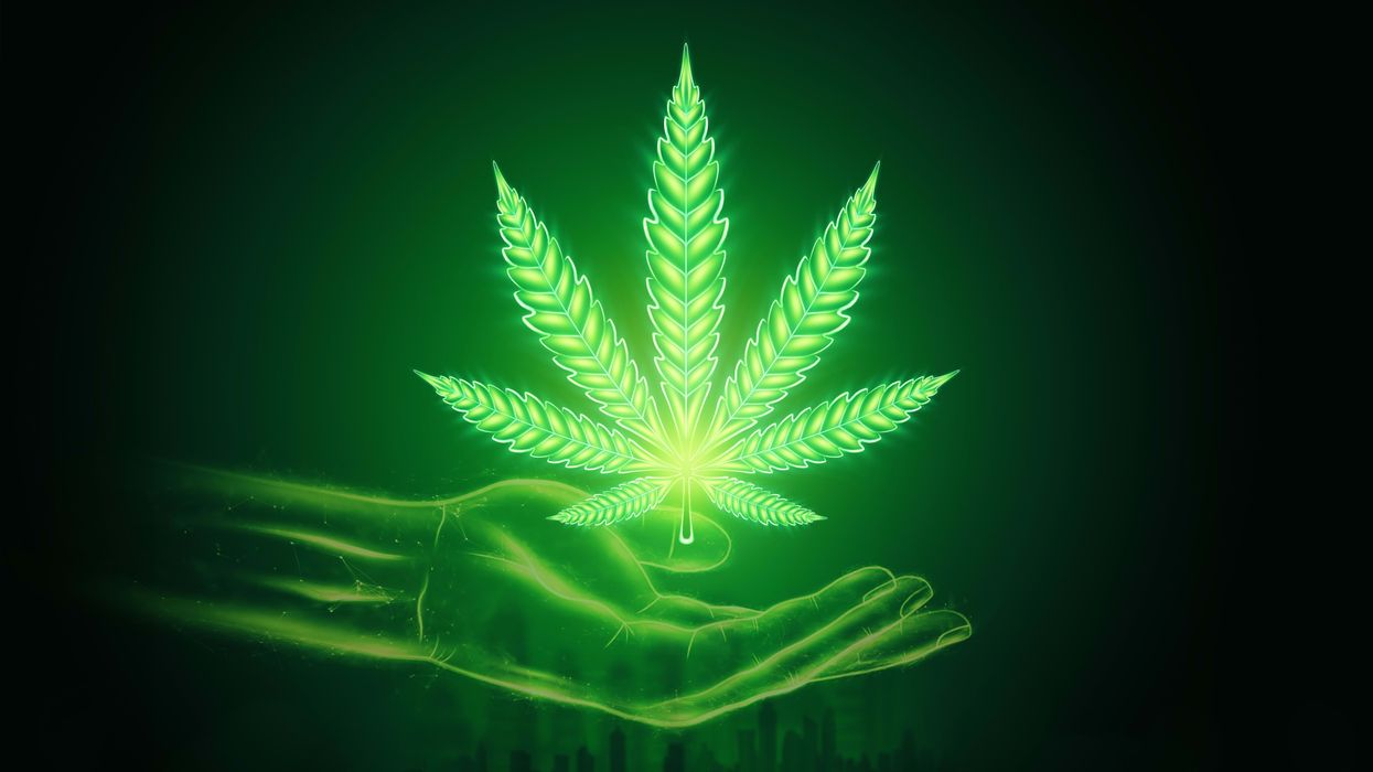 The NJCBA is working to unite and build a strong cannabis industry in The Garden State.