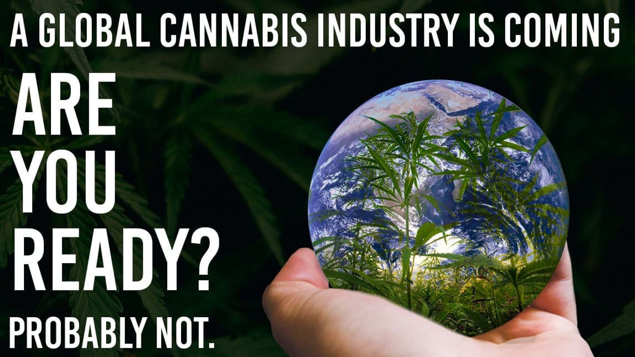 What does a global cannabis industry mean for mainstream cannabis operators?