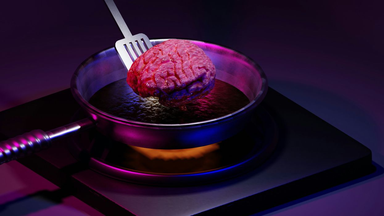 What Does Weed Do to Your Brain: Effects on Function and Cognition - The Bluntness