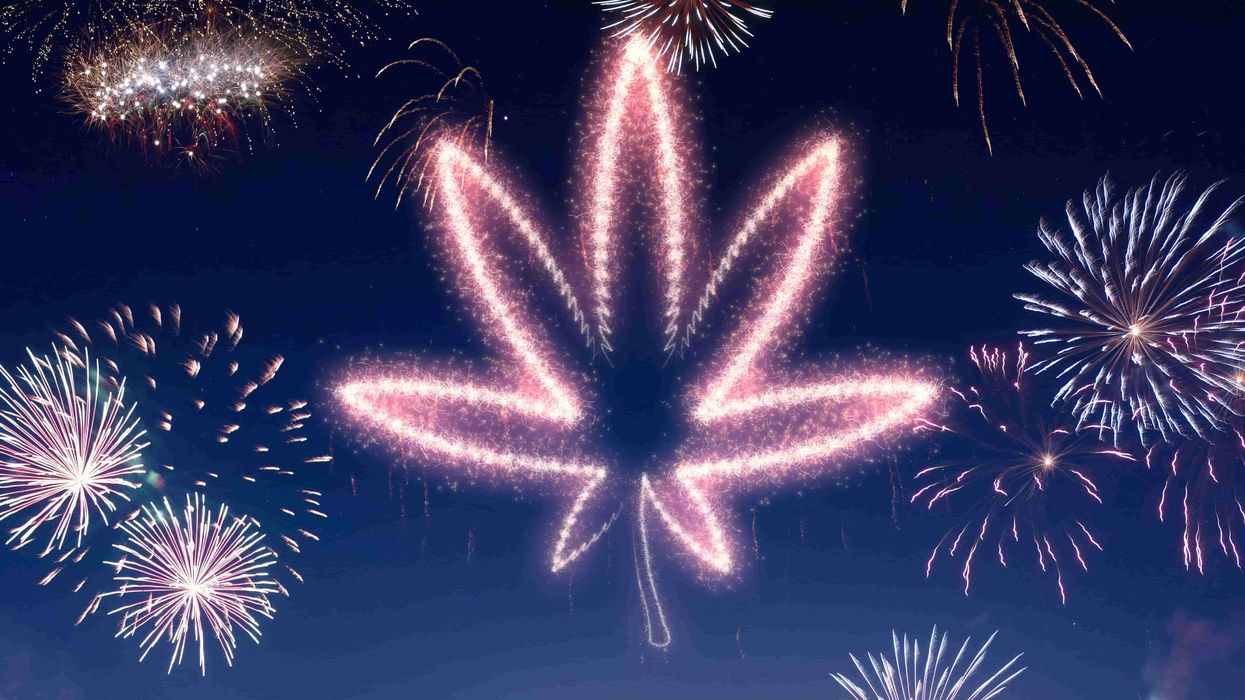 What was your favorite article from The Bluntness in 2022?