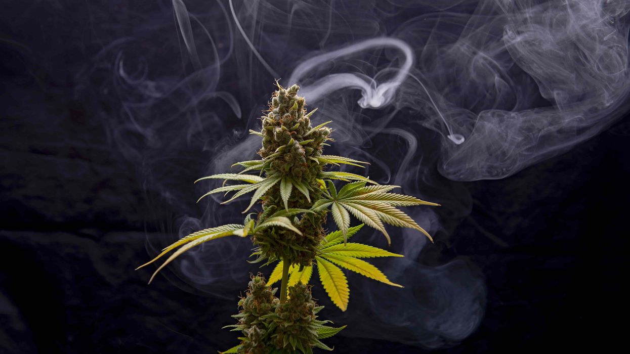 Which cannabis mistakes are you making?
