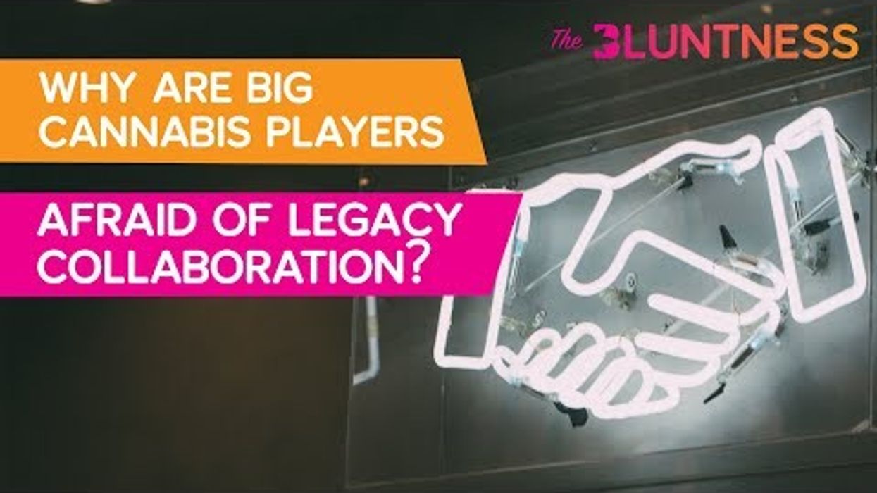 Why Are Big Cannabis Players Afraid of Legacy Collaboration? | The Edge ft Christine & Vlad