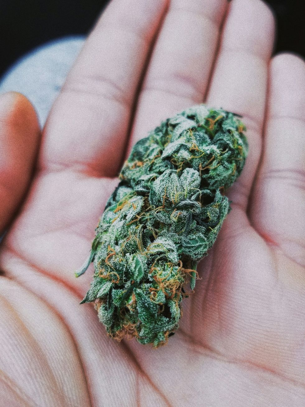 Why Cannabinoids Matter: Exploring The Third And Final Piece Of The Entourage Effect