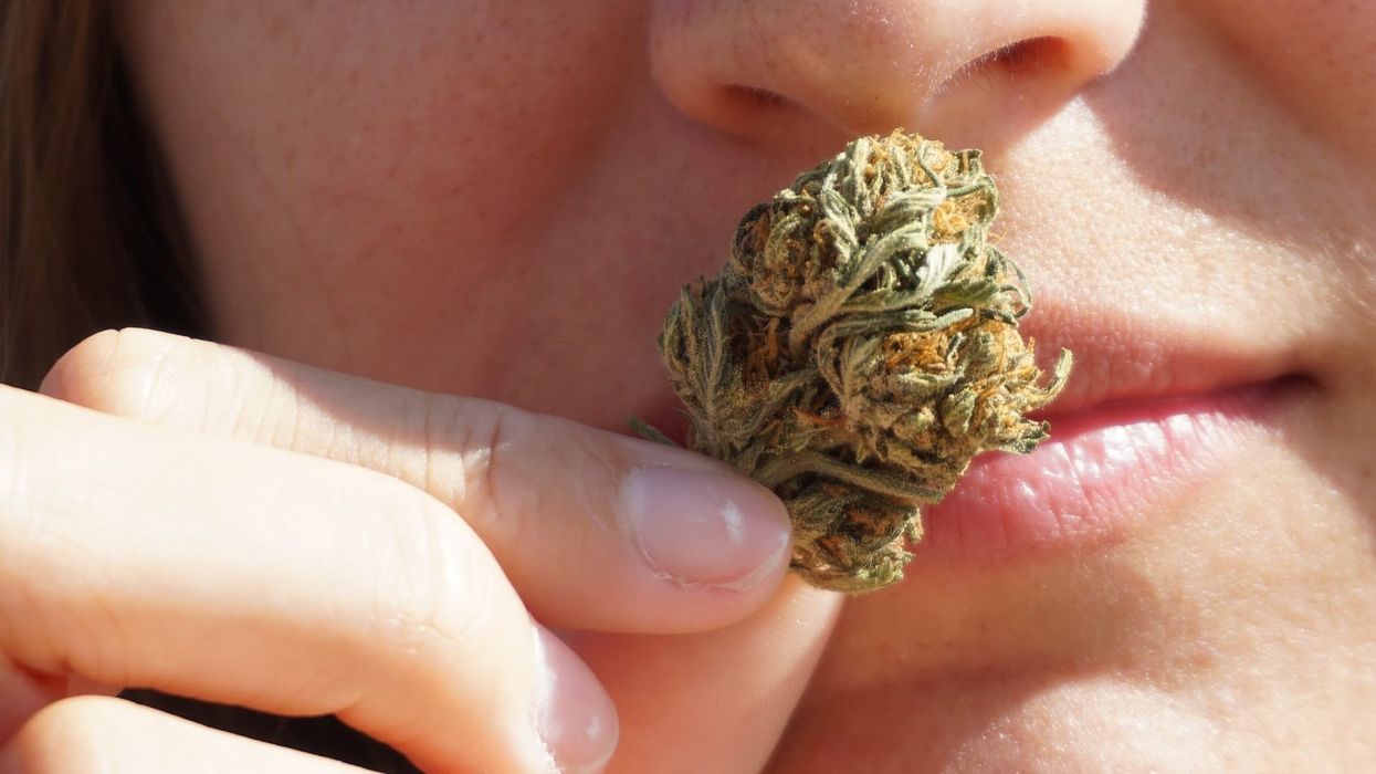 Will New York learn from previous cannabis industry blunders?