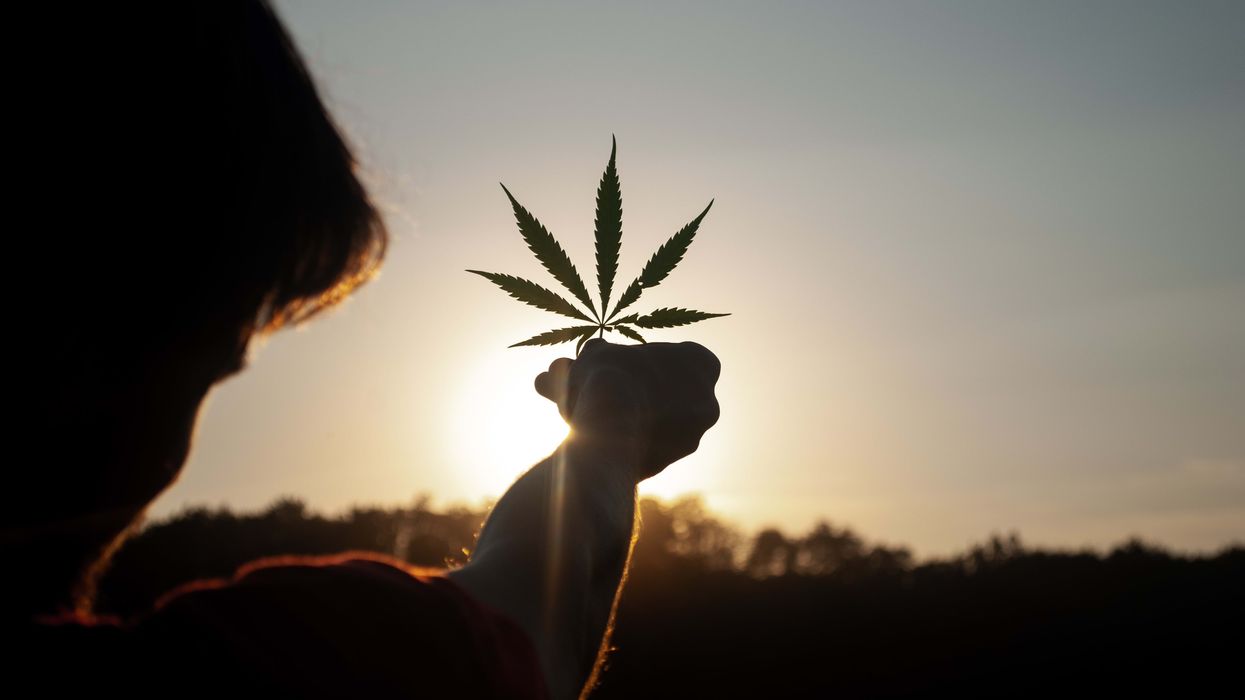 Will the U.S. Cannabis Council serve as a guiding light for this emerging industry?